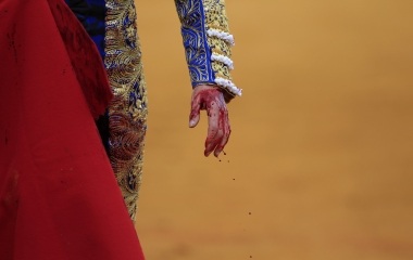 Spanish matador Talavante hand bleeds after cutting with the sword while killing the bull during a bullfight in the Andalusian capital of Seville