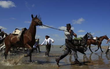 Pilgrims from the Sanlucar de Barrameda brotherhood pull horses as they make their way to the shrine of El Rocio in the Donana National Park