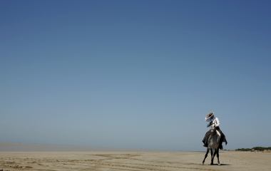 A pilgrim from the La Linea-Chiclana brotherhood rides as he makes his way to the shrine of El Rocio in the Donana National Park