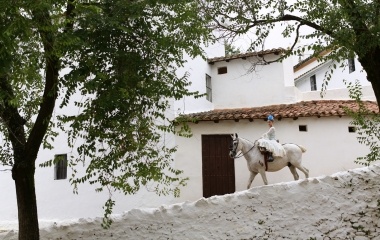 A pilgrim wearing a flamenco outfit rides a horse during a pilgrimage in Alajar, southwest Spain