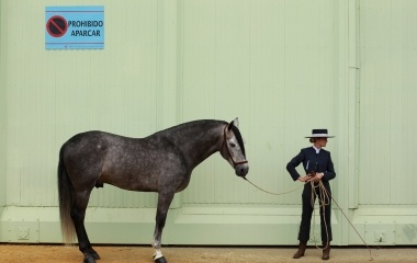 An Andalusian horsewoman stands with her horse before competing in a morphological contest during the Salon Internacional del Caballo (SICAB) horse fair in Seville