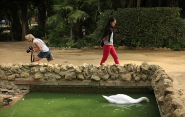 Japanese learner of flamenco song and dance, Maika Kubo, 24, walks in Maria Luisa park in the Andalusian capital of Seville