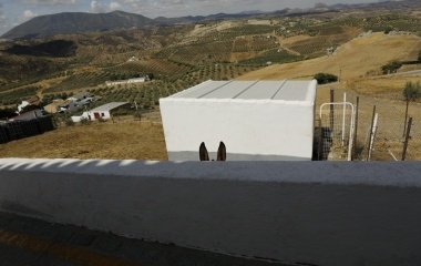 A donkey is seen behind a wall in the white village of Olvera, southern Spain