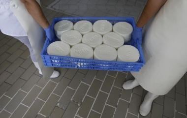 Cheesemakers hold a tray of cheeses made with milk of payoya goat in the white village of Villaluenga del Rosario, southern Spain