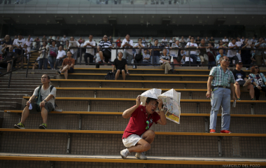 A spectator reacts during a horse race in the Hong Kong Jockey Club in Hong Kong
