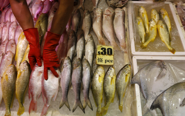 A fishmonger sorts the fishes he sells at Chan Wai market in the North Point district in Hong Kong