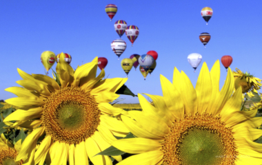 HOT AIR BALLOONS FLY OVER SUNFLOWERS DURING WORLD AIR GAMES IN SEVILLE